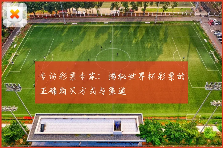 专访彩票专家:揭秘世界杯彩票的正确购买方式与渠道